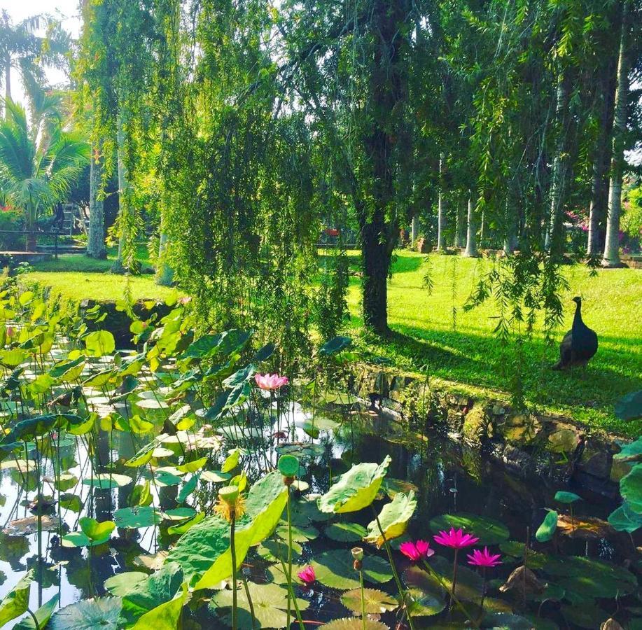 Les Hameaux De L'Orient Hotel Хошимин Екстериор снимка